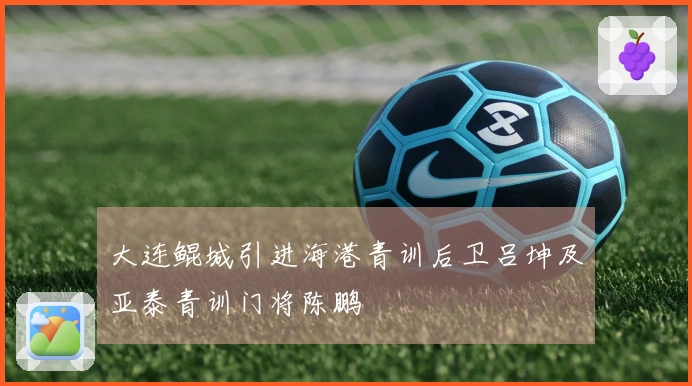 大连鲲城引进海港青训后卫吕坤及亚泰青训门将陈鹏