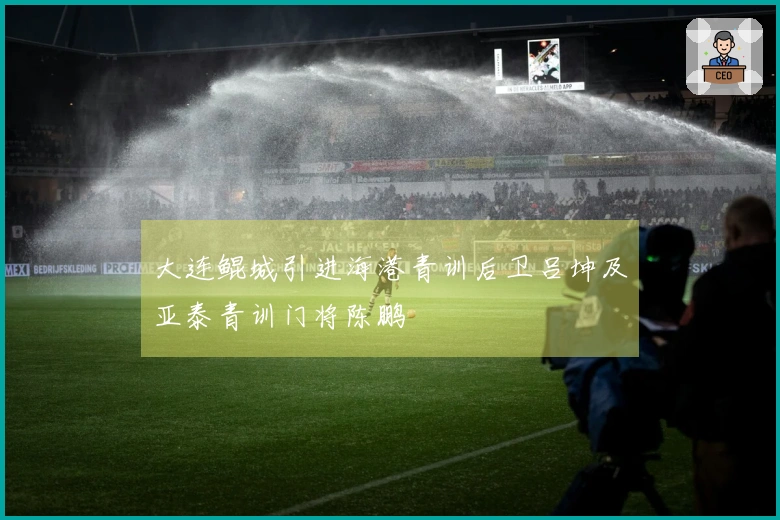 大连鲲城引进海港青训后卫吕坤及亚泰青训门将陈鹏