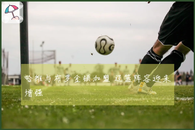 哈维与布罗金顿加盟 辽篮阵容迎来增强