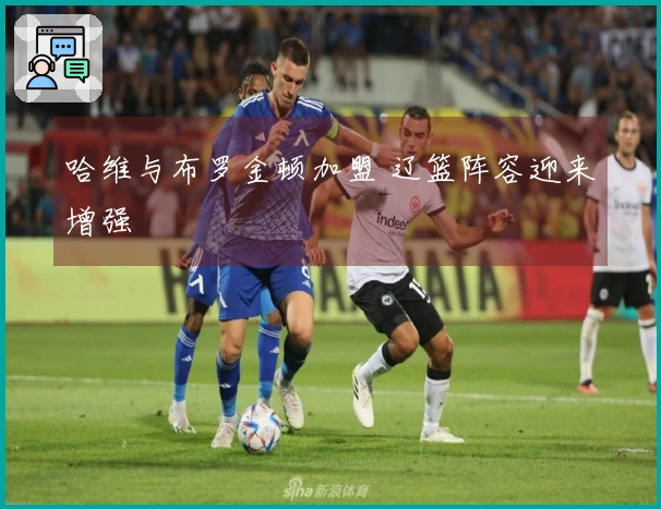 哈维与布罗金顿加盟 辽篮阵容迎来增强